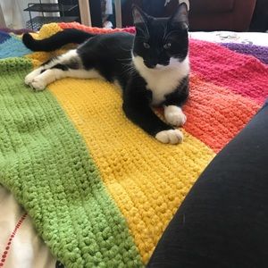 Meet your Posher, Ava